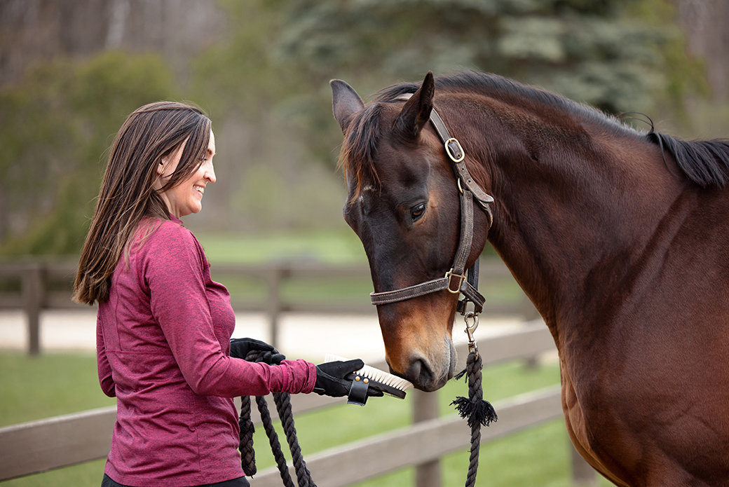 A horse sniffing a brush that is being held to its nose by a woman with long brown hair and a long sleeve maroon shirt