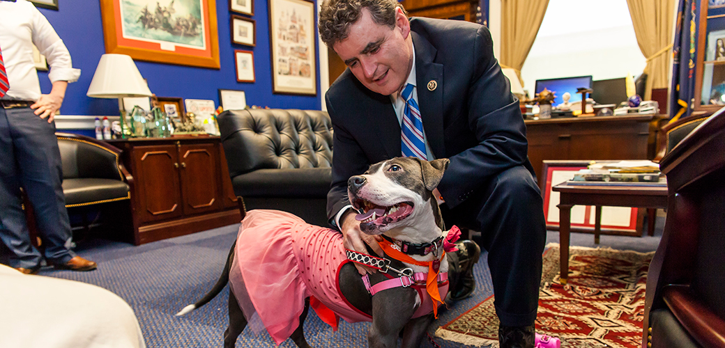 Bam Bam Goes to Washington on Behalf of Animal Fighting Victims