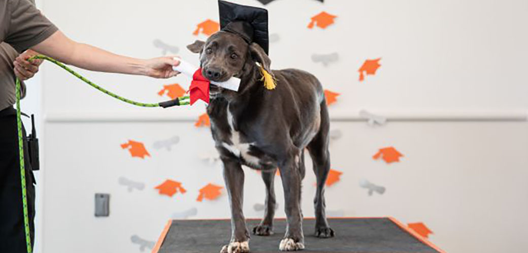 Roux holding her diploma in her mouth