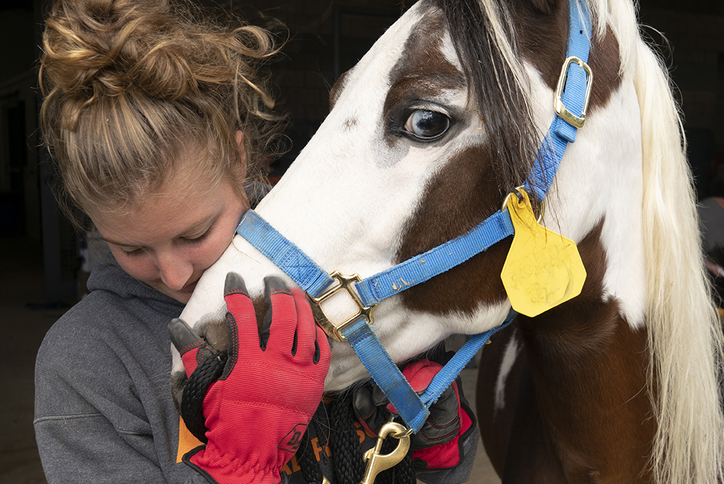 an aspca responder with a horse