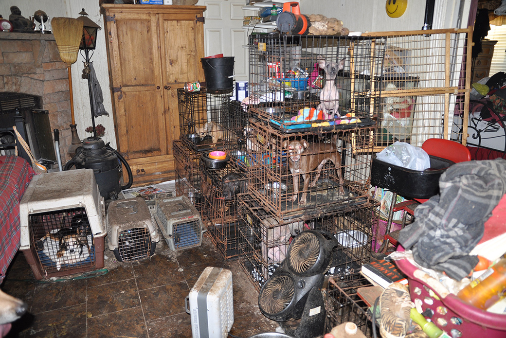 overcrowded home in Bell, Fla