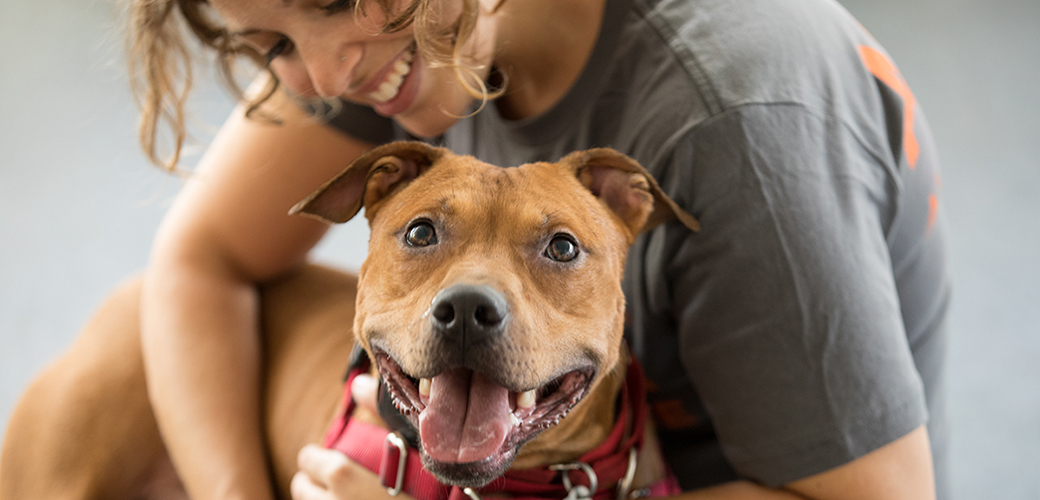 a rescued dog