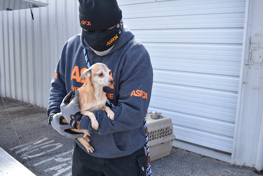 a dog being carried by an aspca responder