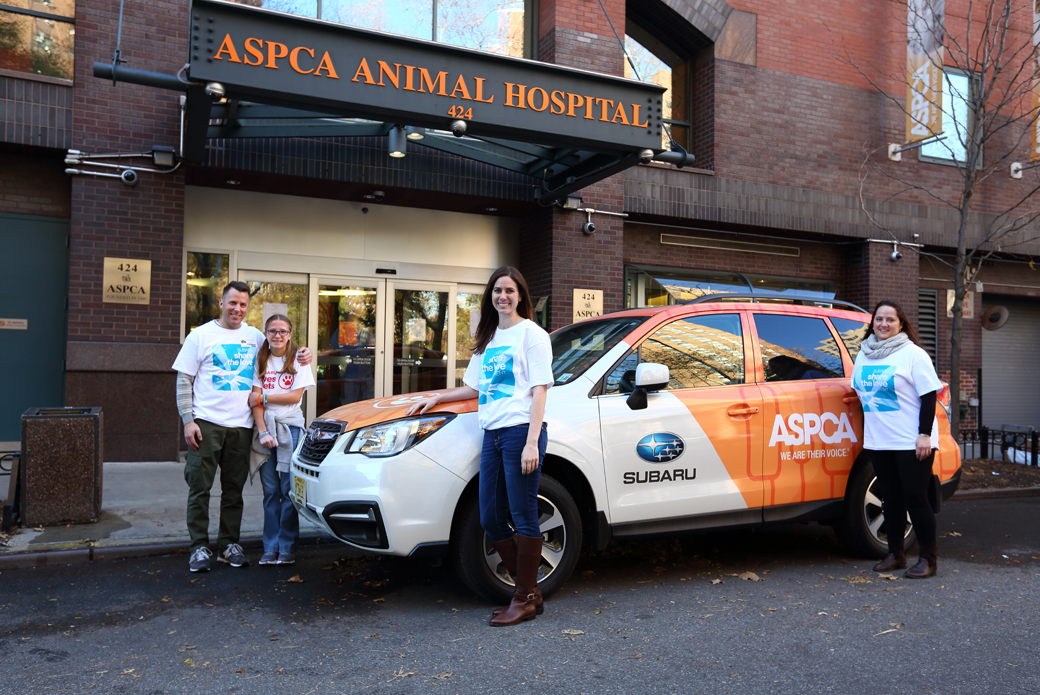 Subaru at the ASPCA animal hospital