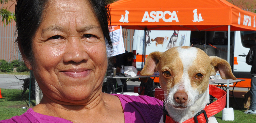 Celebrating One Year and Thousands of Animals Helped in Los Angeles