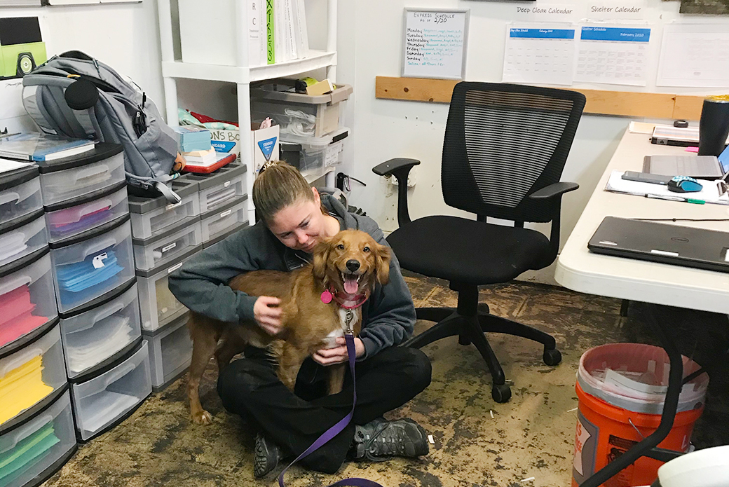 aspca staff member with a brown dog in an office