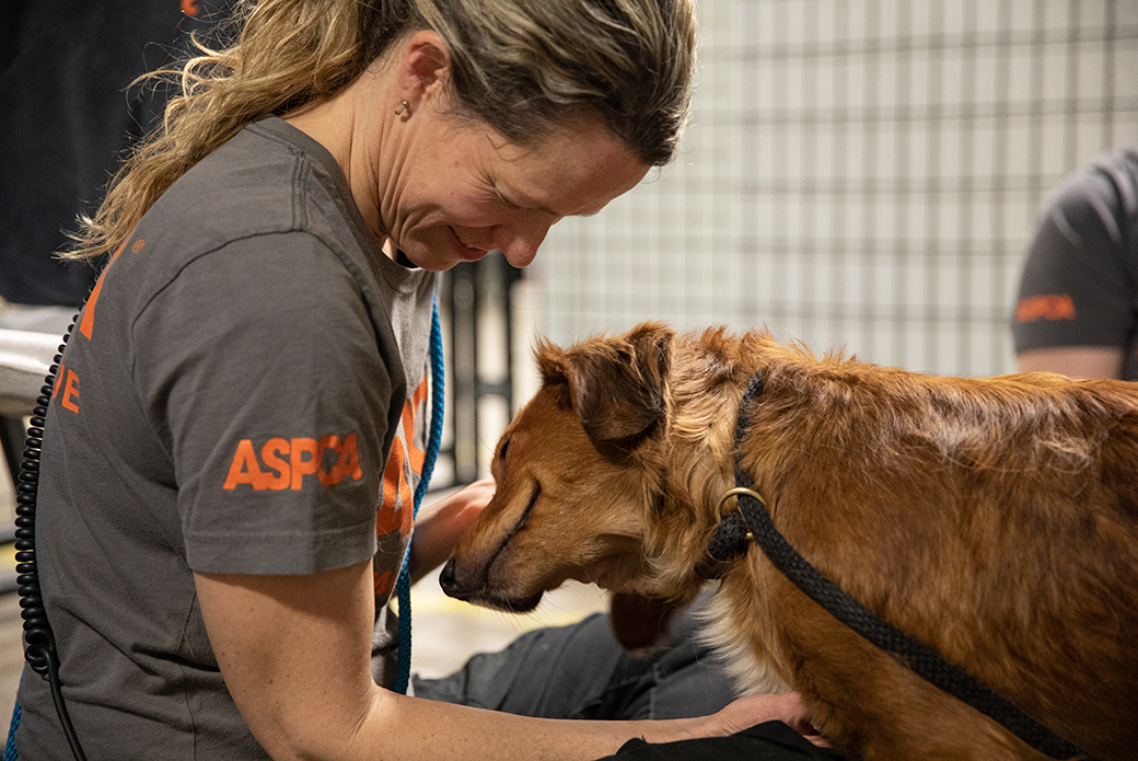 an aspca responder with a rescued dog