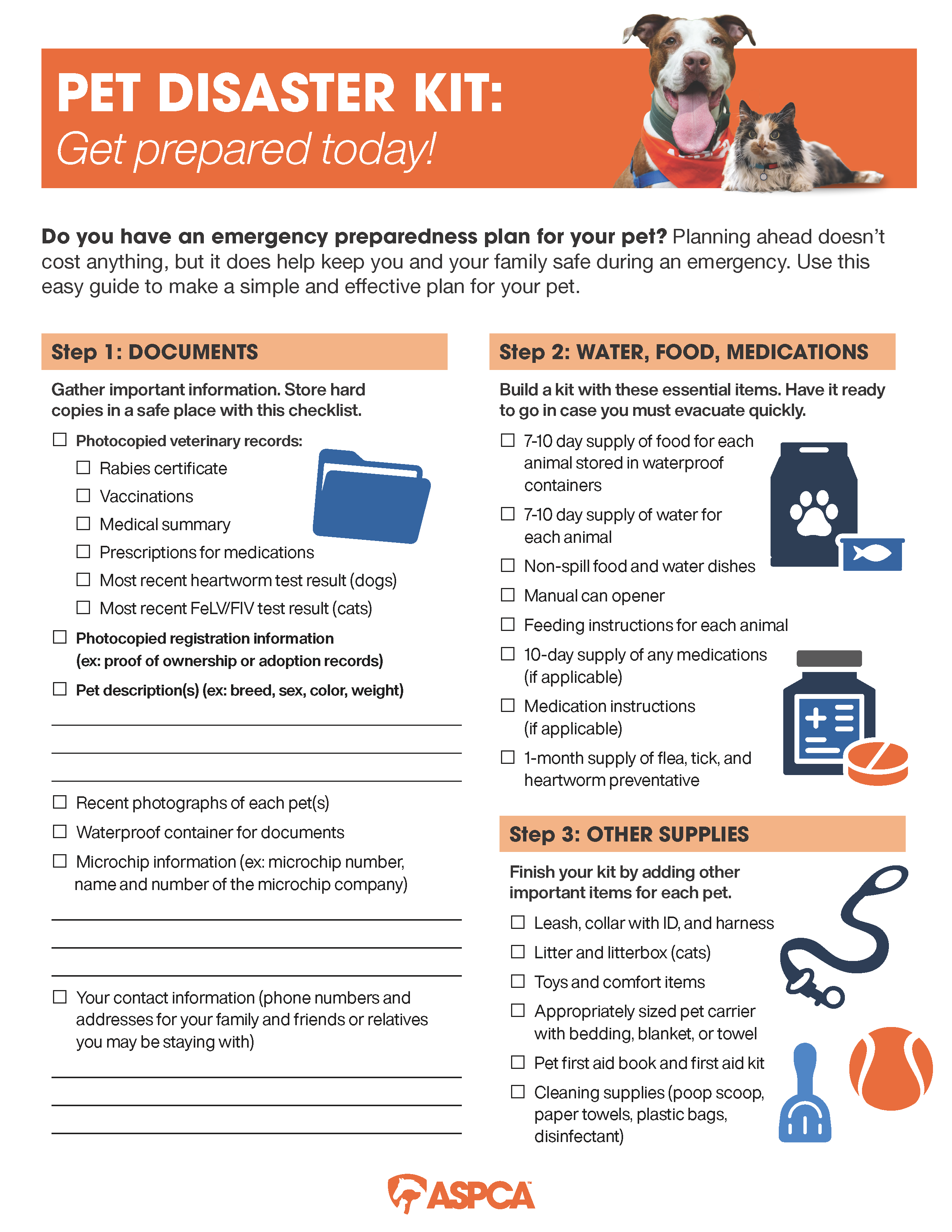 disaster prep checklist graphic