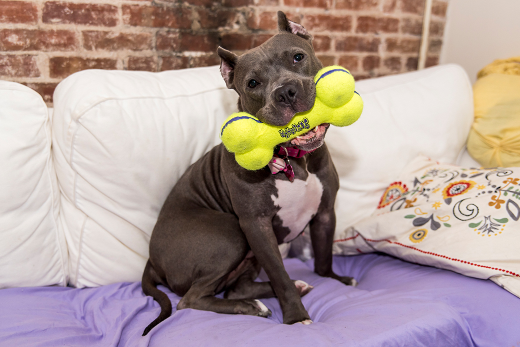 Zaza with a toy