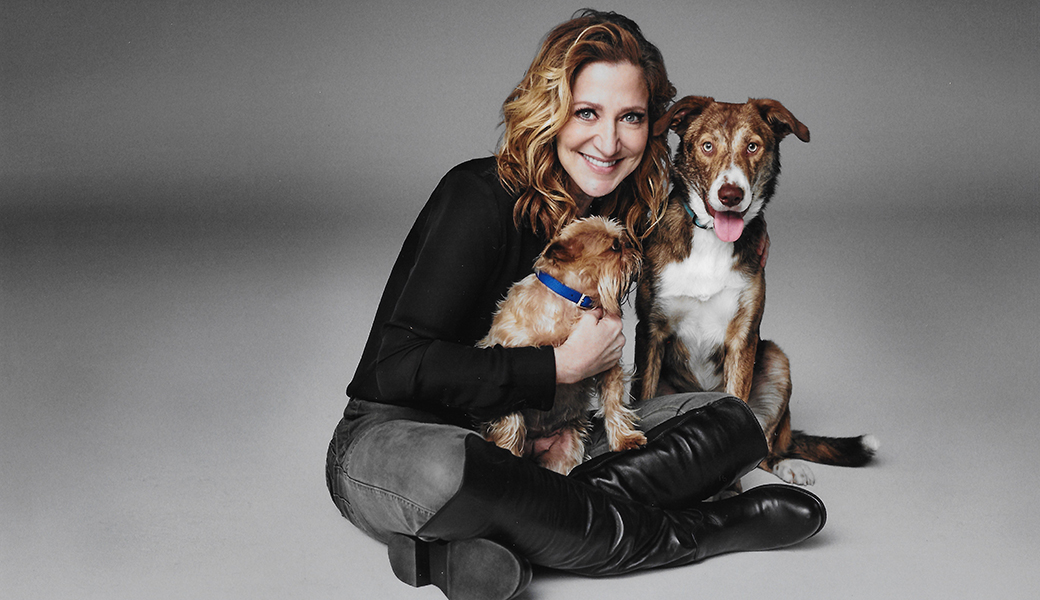 Edie Falco with two dogs