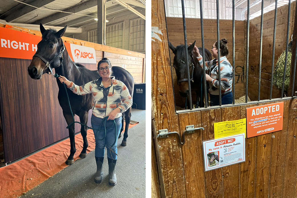 Aikman’s Audible and adopter