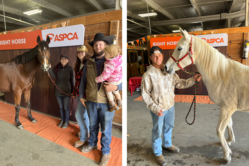 BelleInTheWoods and Cinder