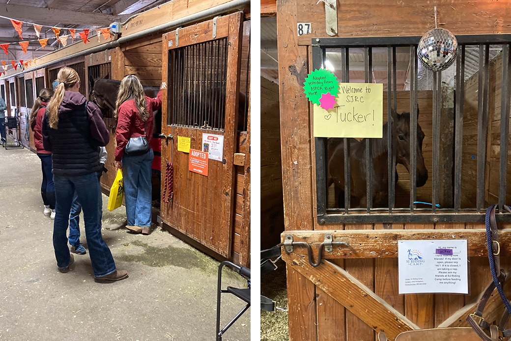 Tucker with his adopters and Tucker in his stall