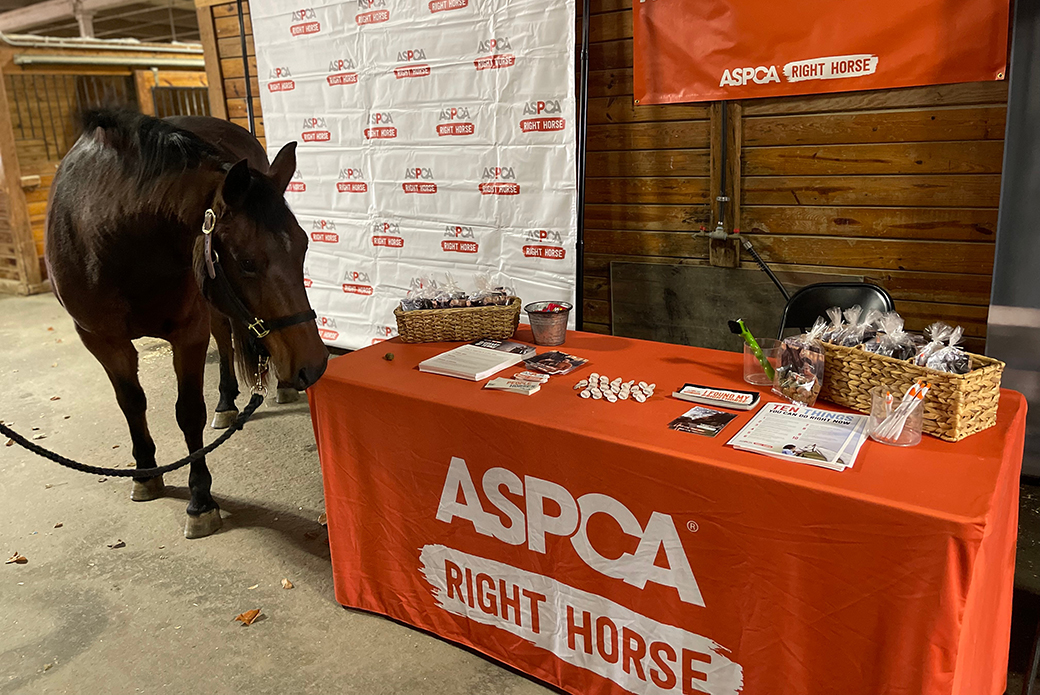 ASPCA table at Equine Affaire