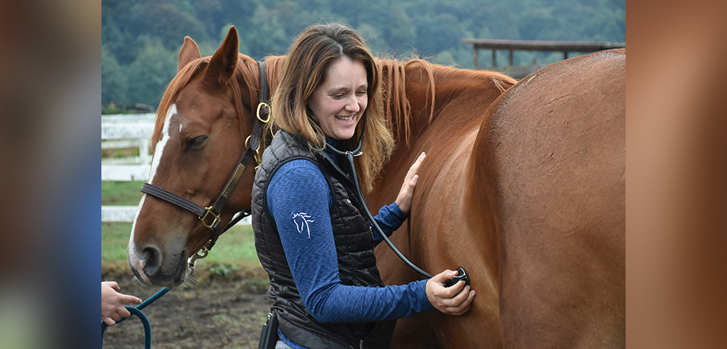 a Veterinarian listening to a horses chest