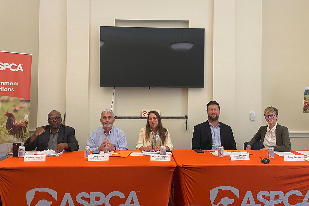 Panelists pictured from left to right: Andrew L. Smith, Sr., Craig Watts, Diane Christofore, Jesse Straight, Daisy Freund