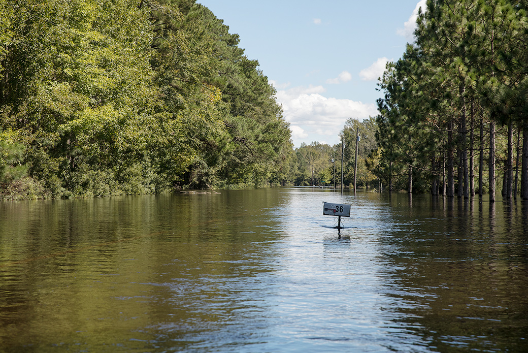 flooded area