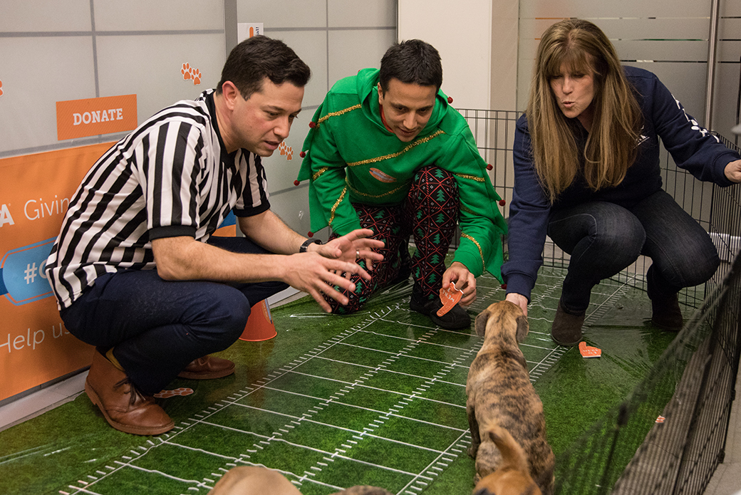 Puppy play time at the giving live-a-thon