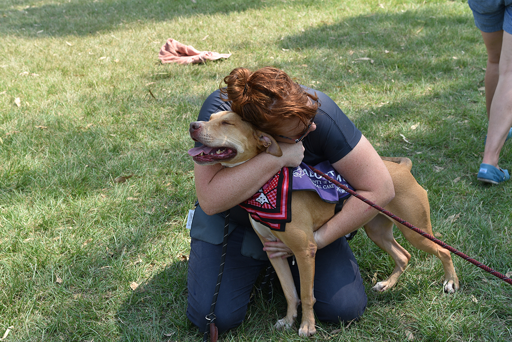 a dog getting a hug