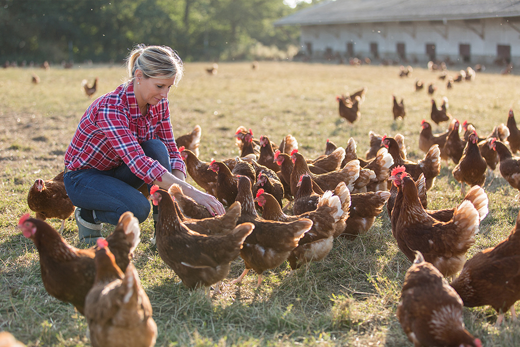 a woman feeding chickens in a field
