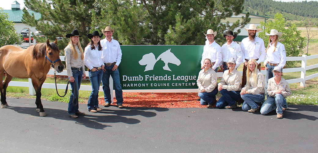 Dumb Friends League Harmony Equine Center