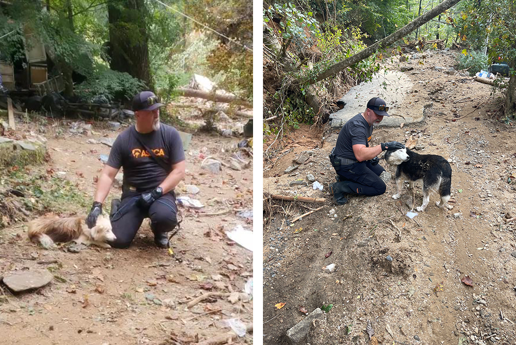 responder rescuing dogs from areas severely damaged by hurricane Helene