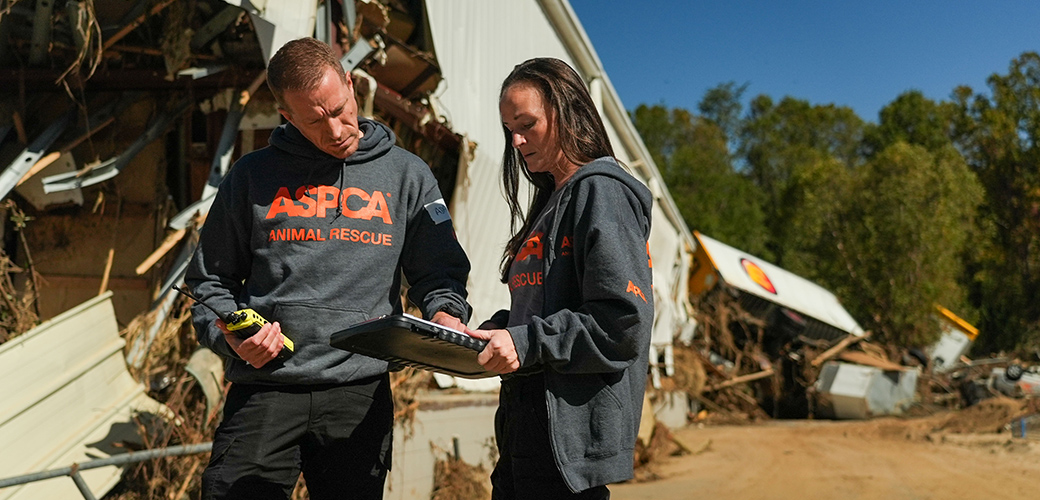 Two ASPCA responders