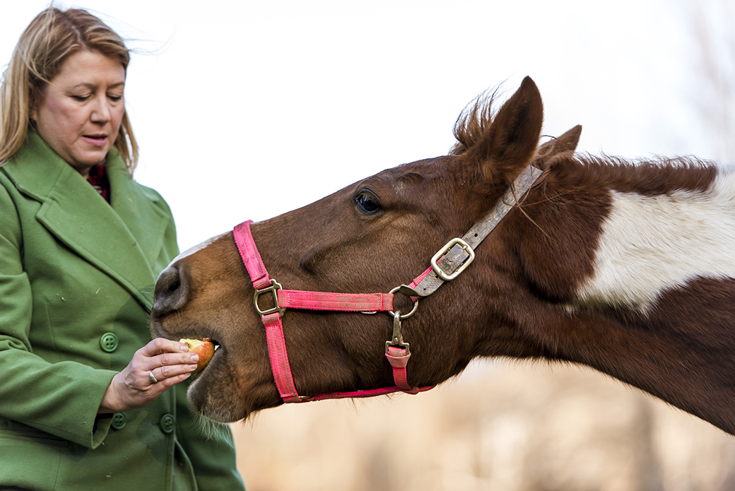 a woman feeding a horse