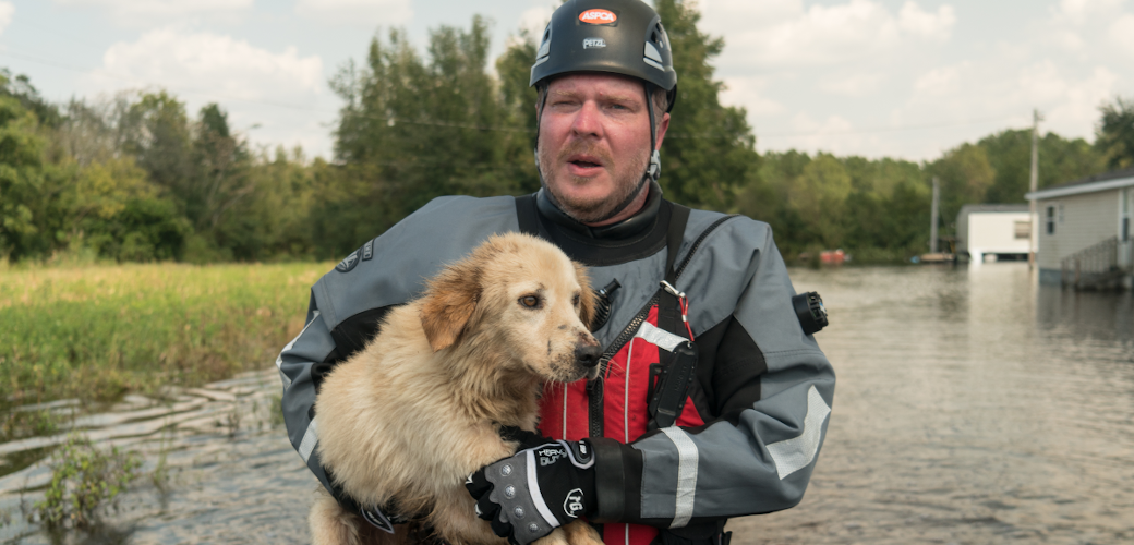 ASPCA responder carrying a dog through flood water