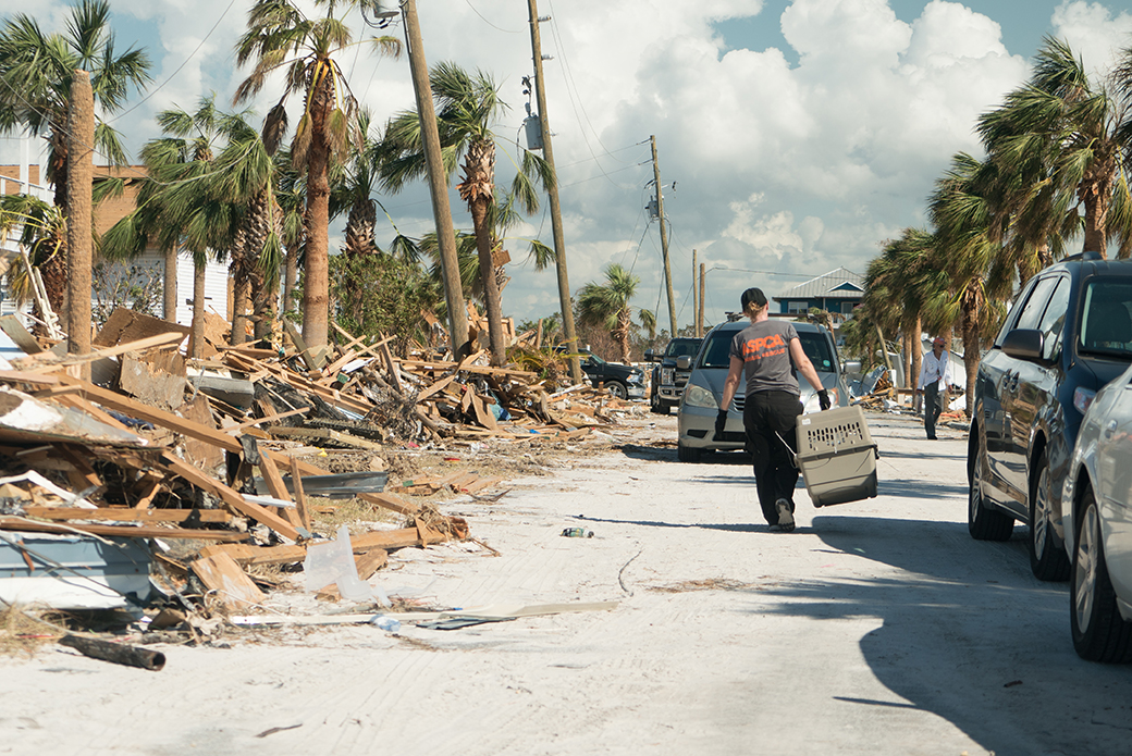 aftermath of hurricane michael