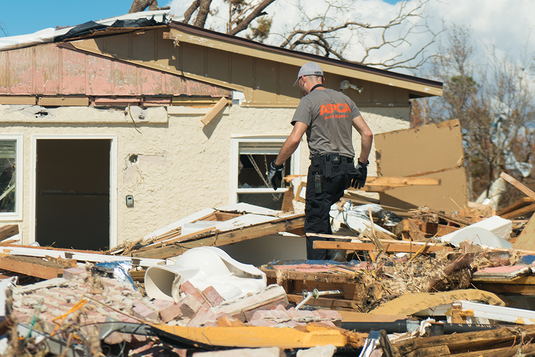 aftermath of hurricane michael