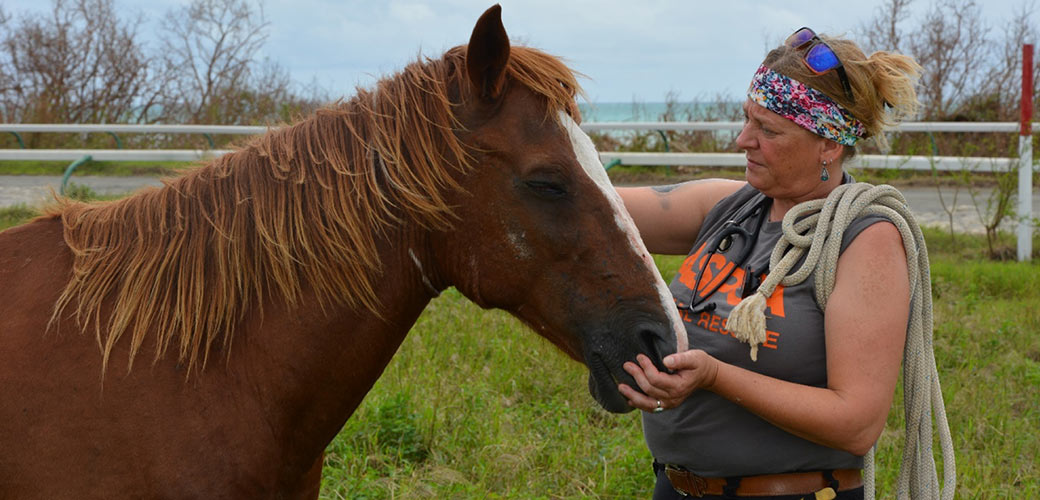 ASPCA Responder with a rescued horse