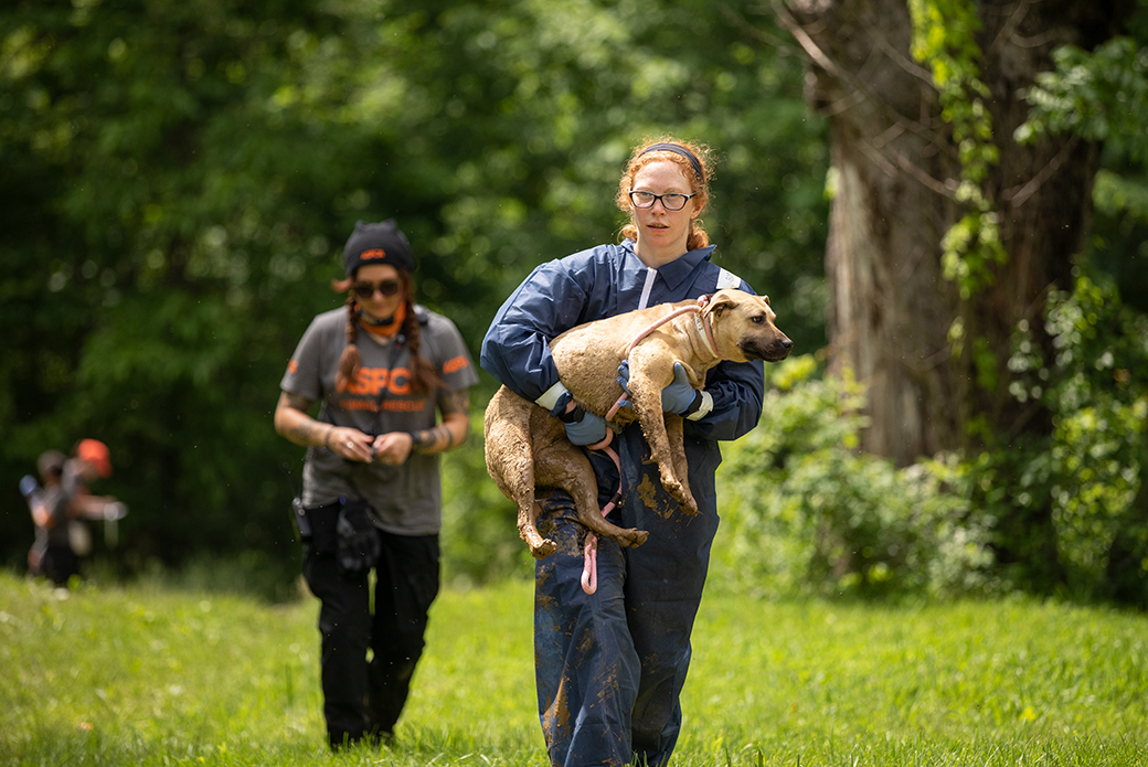 a responder carrying a rescued dog