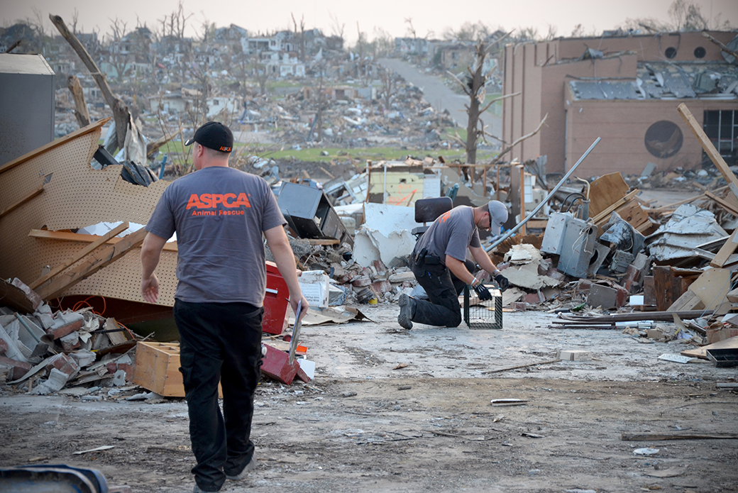 aftermath of the tornado