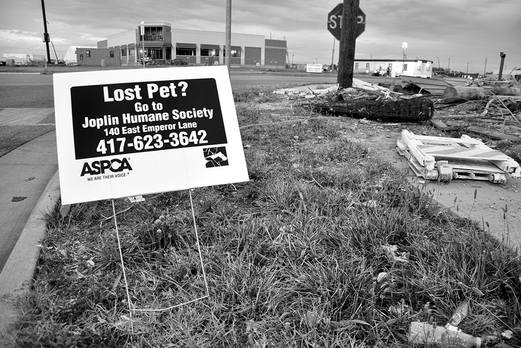 ASPCA lost pet sign