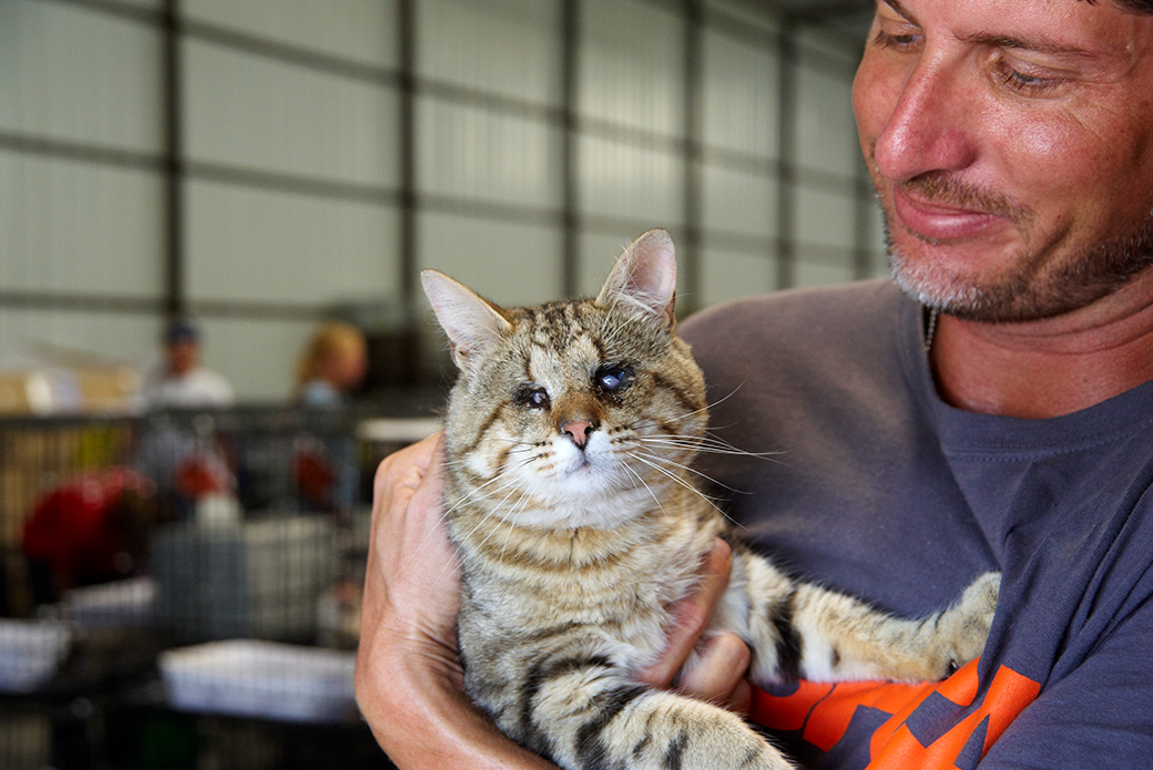 a rescued cat held by an aspca responder