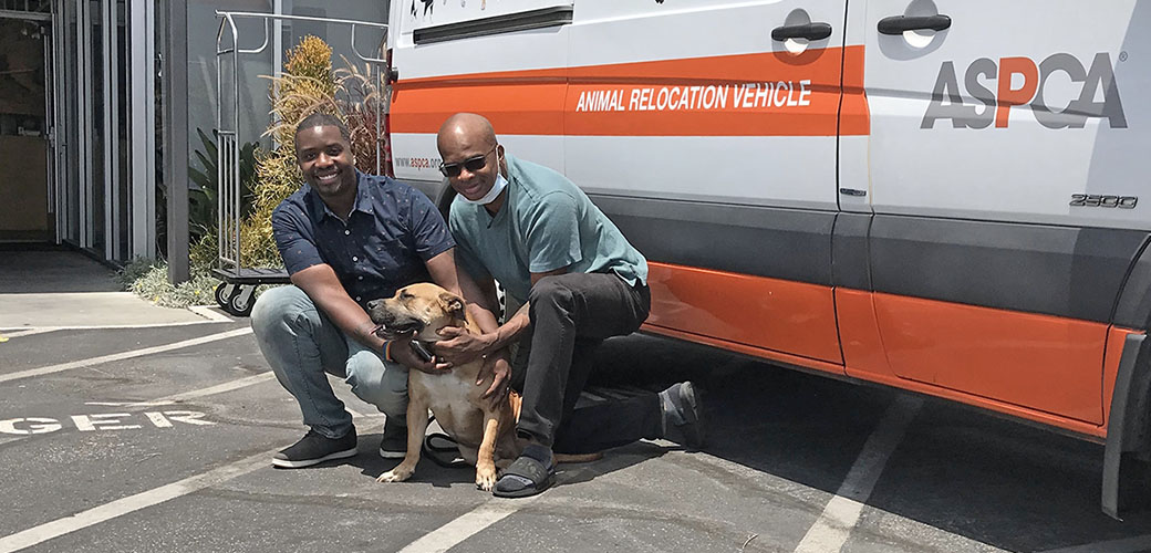 Kodak with Maxwell and Lloyd