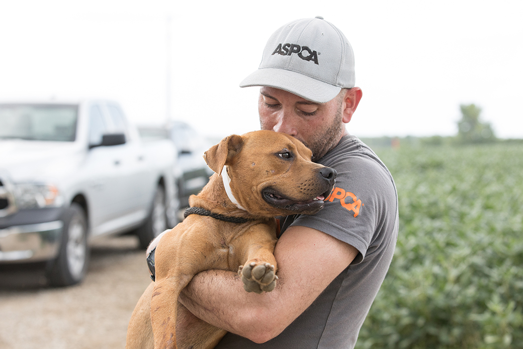 a responder carrying a rescued dog