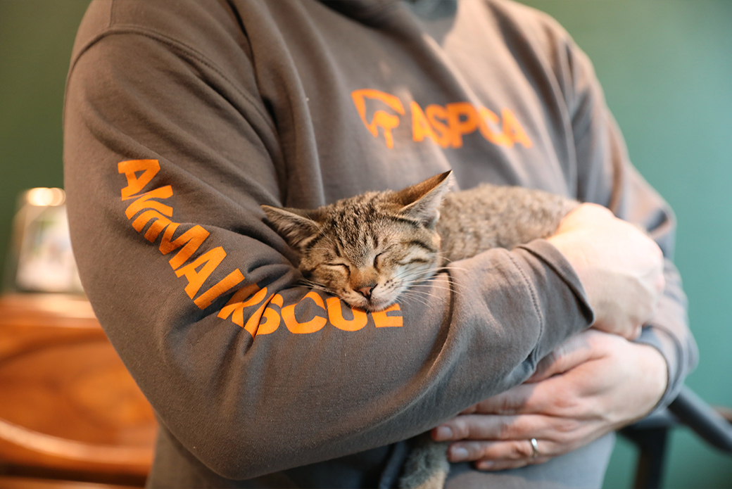 ASPCA Responder holding a cat