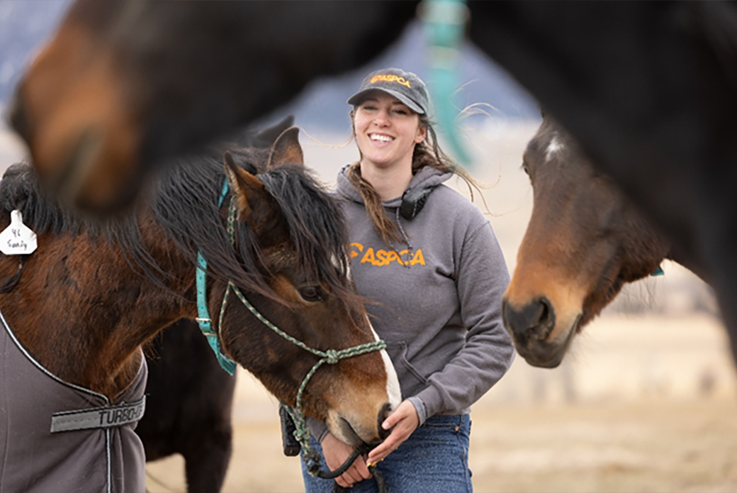 Their Compassion Spurred Action: How Two Hearts Helped Save a Herd of ...