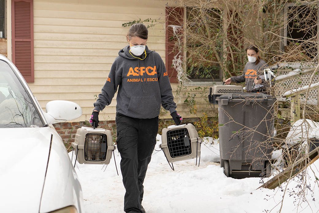 an aspca responder carrying two cats