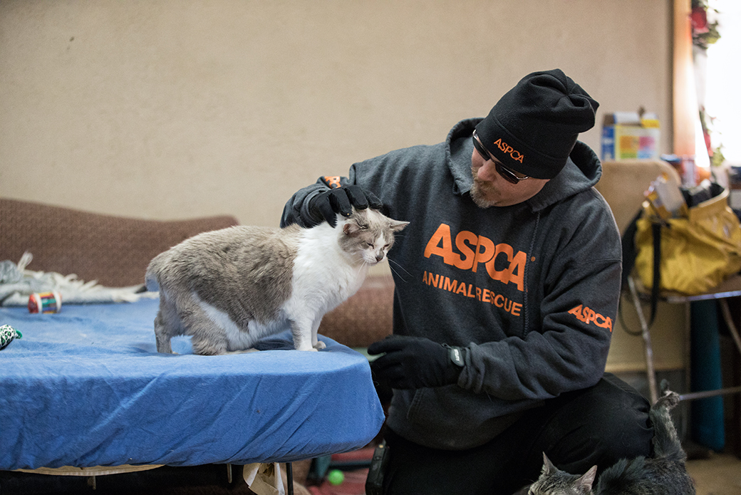 Tim Ricky with a rescued cat