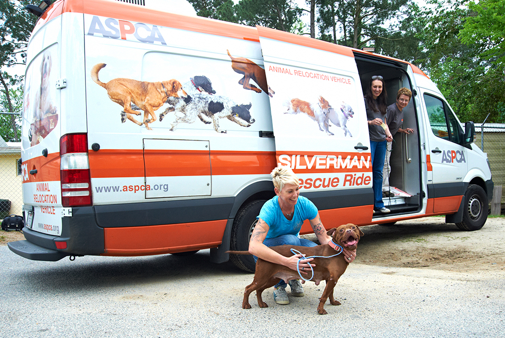 Nancy Silverman rescue ride van with a dog outside being pet by a woman in a blue shirt