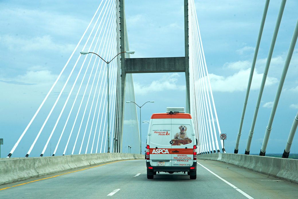 Nancy Silverman rescue ride van going over a bridge