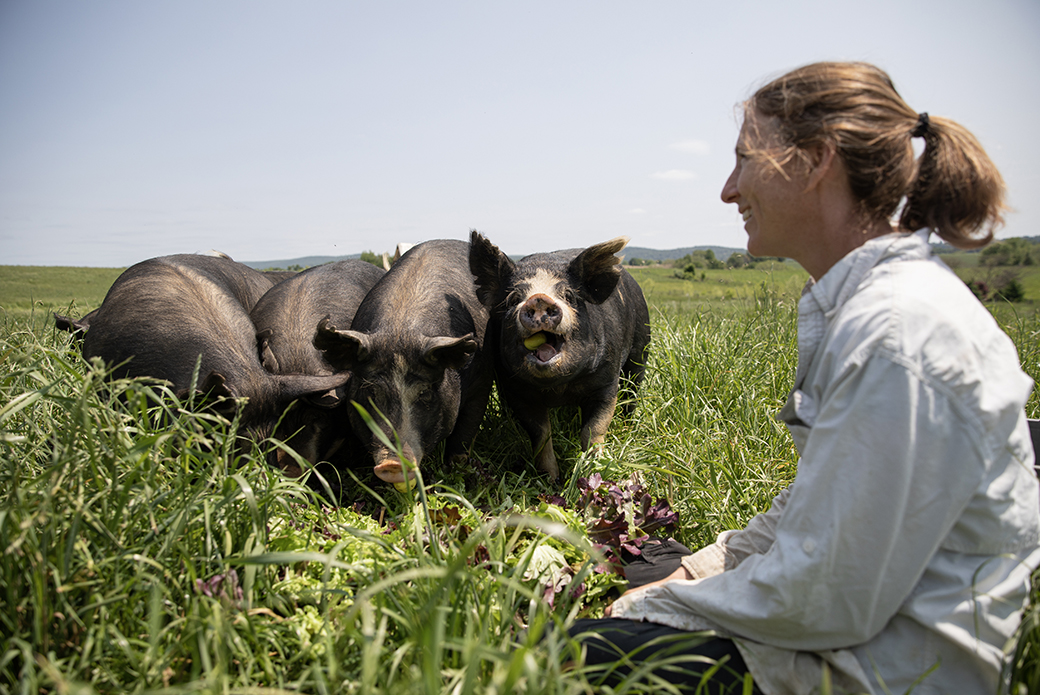a woman in a white shirt with a pony tail next to 3 pigs in a pasture