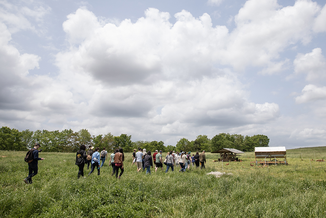 people on a tour walking to chickens in a pasture