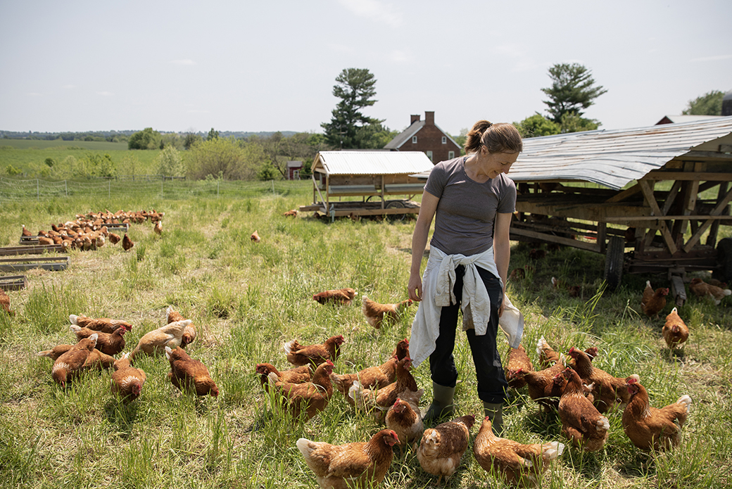 A woman with chickens in a pasture