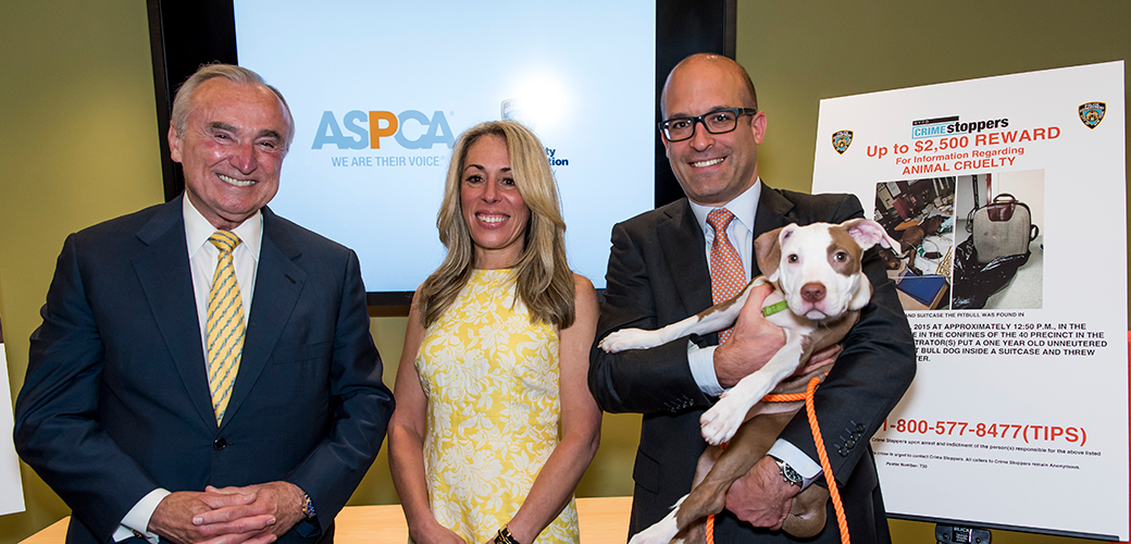 NYC’s New Crime-Stopping Approach to Animal Cruelty