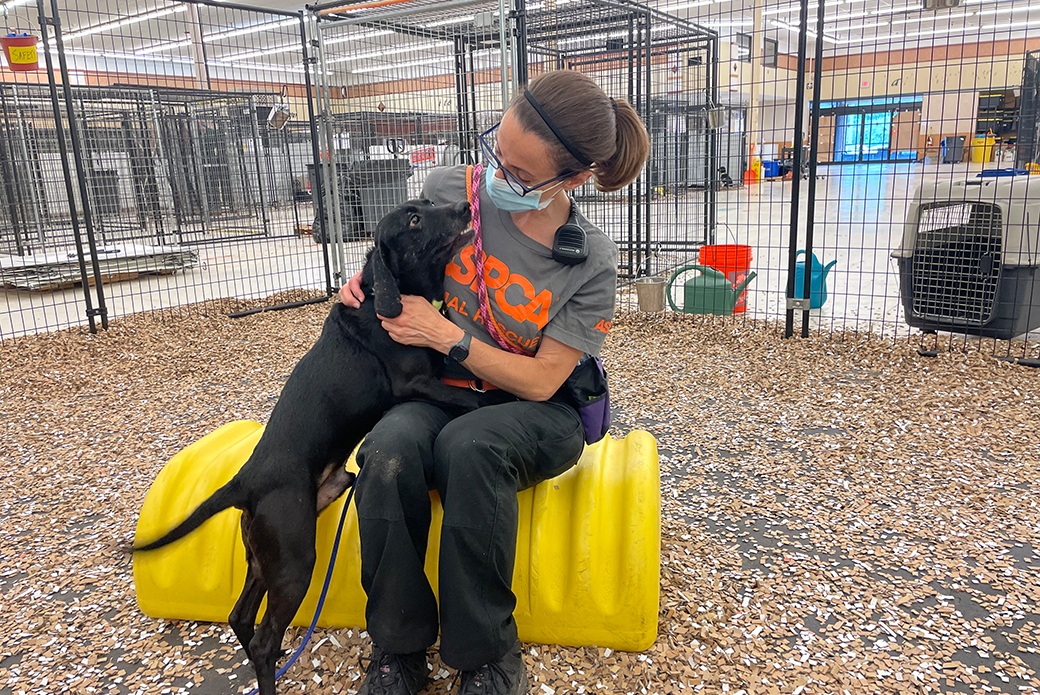 an ASPCA responder petting a rescued dog