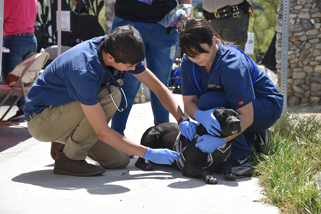 two aspca veterinarians with a dog